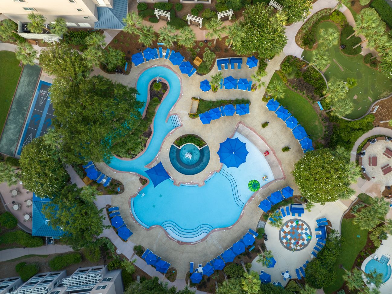 Dolphin Pool - Aerial View